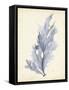 Watercolor Sea Grass VI-Grace Popp-Framed Stretched Canvas