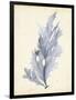 Watercolor Sea Grass VI-Grace Popp-Framed Art Print