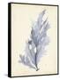 Watercolor Sea Grass VI-Grace Popp-Framed Stretched Canvas