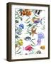 Watercolor Sea Life Seamless Pattern, Underwater Watercolor Illustration-Varvara Kurakina-Framed Photographic Print