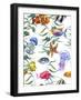 Watercolor Sea Life Seamless Pattern, Underwater Watercolor Illustration-Varvara Kurakina-Framed Photographic Print