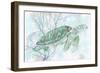 Watercolor Sea Turtle I-Studio W-Framed Art Print