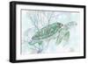 Watercolor Sea Turtle I-Studio W-Framed Art Print