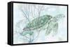 Watercolor Sea Turtle I-Studio W-Framed Stretched Canvas