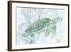 Watercolor Sea Turtle I-Studio W-Framed Art Print