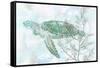 Watercolor Sea Turtle II-Studio W-Framed Stretched Canvas