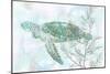 Watercolor Sea Turtle II-Studio W-Mounted Premium Giclee Print