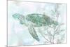 Watercolor Sea Turtle II-Studio W-Mounted Art Print