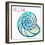 Watercolor Shell III-Lanie Loreth-Framed Art Print