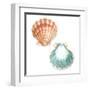 Watercolor Shells I-Megan Meagher-Framed Art Print