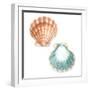 Watercolor Shells I-Megan Meagher-Framed Art Print