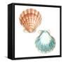 Watercolor Shells I-Megan Meagher-Framed Stretched Canvas