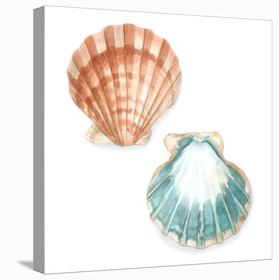 Watercolor Shells I-Megan Meagher-Stretched Canvas