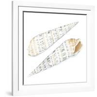 Watercolor Shells IX-Megan Meagher-Framed Art Print