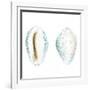 Watercolor Shells VI-Megan Meagher-Framed Art Print