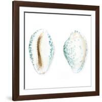 Watercolor Shells VI-Megan Meagher-Framed Art Print