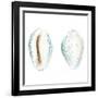 Watercolor Shells VI-Megan Meagher-Framed Art Print