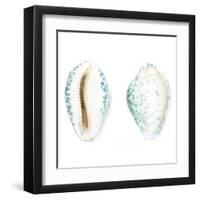 Watercolor Shells VI-Megan Meagher-Framed Art Print