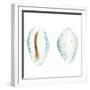 Watercolor Shells VI-Megan Meagher-Framed Art Print