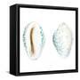 Watercolor Shells VI-Megan Meagher-Framed Stretched Canvas