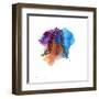 Watercolor sketch 10-Jan Weiss-Framed Art Print