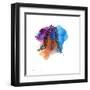 Watercolor sketch 10-Jan Weiss-Framed Art Print