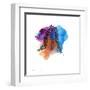 Watercolor sketch 10-Jan Weiss-Framed Art Print