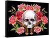 Watercolor Skull with Guns and Roses-tanycya-Framed Stretched Canvas