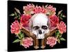 Watercolor Skull with Guns and Roses-tanycya-Stretched Canvas