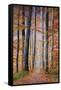 Watercolor Sky-James Redding-Framed Stretched Canvas