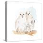 Watercolor Snowy Owls-Lanie Loreth-Stretched Canvas