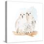 Watercolor Snowy Owls-Lanie Loreth-Stretched Canvas