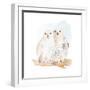 Watercolor Snowy Owls-Lanie Loreth-Framed Art Print