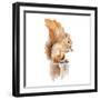 Watercolor Squirrel-Lanie Loreth-Framed Art Print