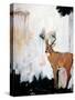 Watercolor Stag-Brooke Tangney-Stretched Canvas