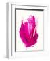 Watercolor Study No.2-Emma Jones-Framed Premium Giclee Print