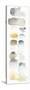 Watercolor Swatch Panel Neutral I-Elyse DeNeige-Stretched Canvas