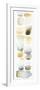 Watercolor Swatch Panel Neutral II-Elyse DeNeige-Framed Premium Giclee Print