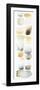 Watercolor Swatch Panel Neutral II-Elyse DeNeige-Framed Premium Giclee Print