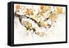Watercolor Tree Branch I-Samuel Dixon-Framed Stretched Canvas