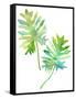 Watercolor Tropical 2-Mary Escobedo-Framed Stretched Canvas