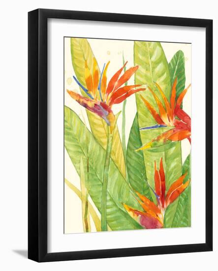 Watercolor Tropical Flowers III-Tim OToole-Framed Art Print