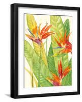 Watercolor Tropical Flowers III-Tim OToole-Framed Art Print