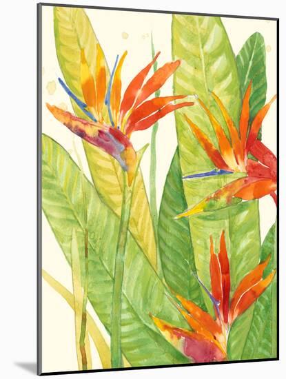 Watercolor Tropical Flowers III-Tim OToole-Mounted Art Print