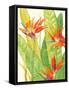 Watercolor Tropical Flowers III-Tim OToole-Framed Stretched Canvas