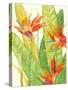 Watercolor Tropical Flowers III-Tim OToole-Stretched Canvas