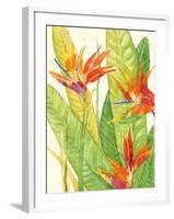 Watercolor Tropical Flowers III-Tim OToole-Framed Art Print