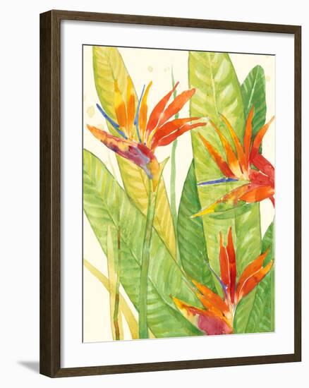 Watercolor Tropical Flowers III-Tim OToole-Framed Art Print