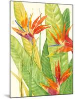 Watercolor Tropical Flowers III-Tim OToole-Mounted Art Print