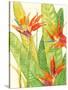 Watercolor Tropical Flowers III-Tim OToole-Stretched Canvas